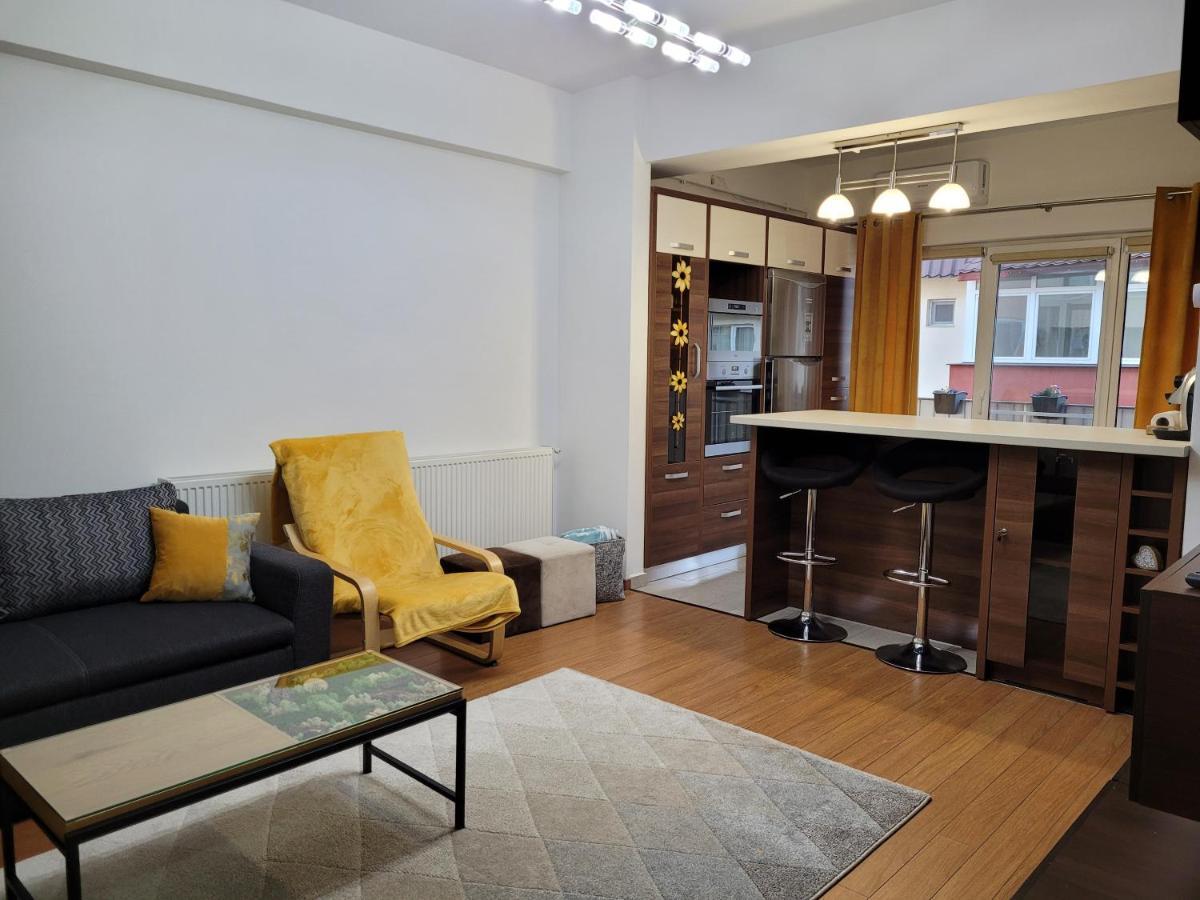 Andi Apartment Sibiu Dış mekan fotoğraf
